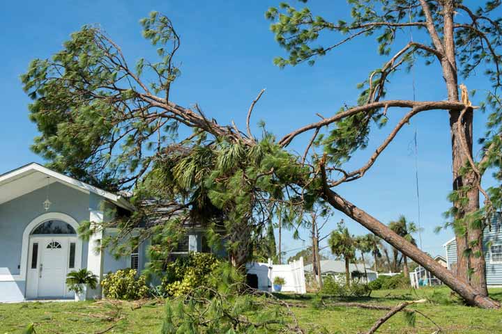 Storm damaged house and fallen tree